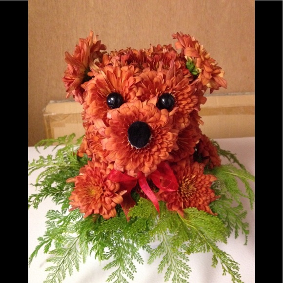 Meet your Posher, Kory - Picture 15 of 16